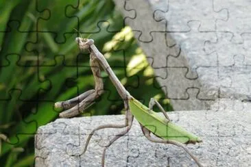 natural