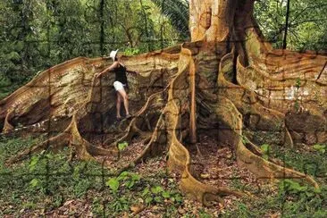 natural jigsaw puzzle