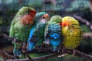 natural jigsaw puzzle