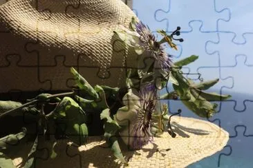 פאזל של sole mare