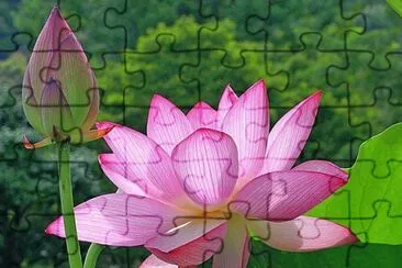 flores jigsaw puzzle