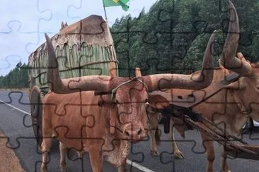 natural jigsaw puzzle