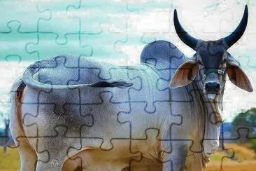 imagem jigsaw puzzle