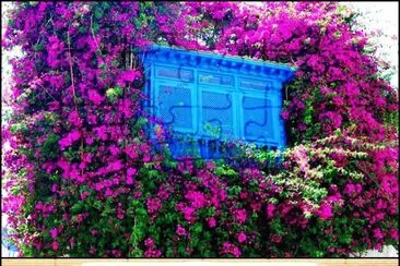 SIDI  BOU  SAÃD  (TUNEZ) jigsaw puzzle