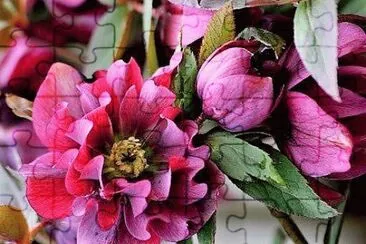 flores jigsaw puzzle