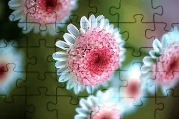 flores jigsaw puzzle