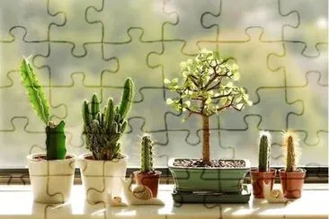 natural jigsaw puzzle