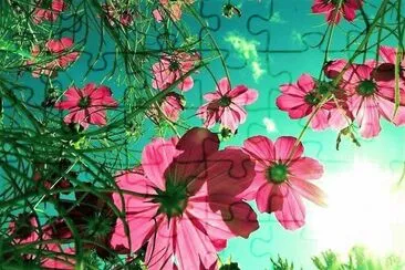 flores jigsaw puzzle