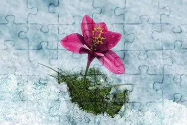 flores jigsaw puzzle