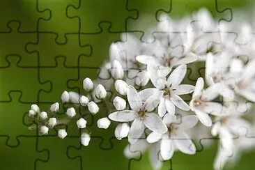 flores jigsaw puzzle