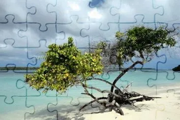 natureza jigsaw puzzle
