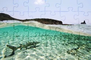 natural jigsaw puzzle