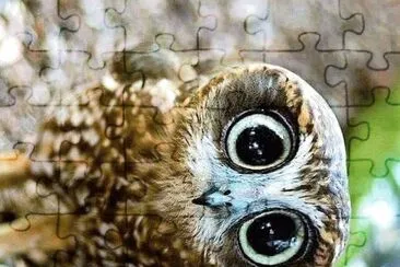 natural jigsaw puzzle