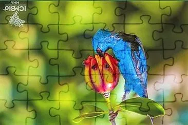 natural jigsaw puzzle