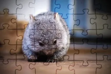 natural jigsaw puzzle