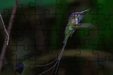 natural jigsaw puzzle