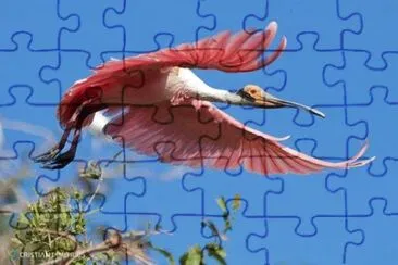 natural jigsaw puzzle