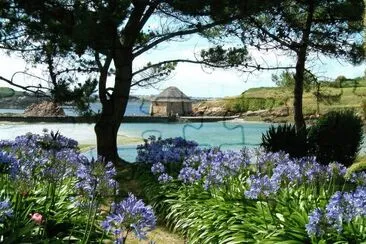 Ã®le de BrÃ©hat Moulin de Birlot jigsaw puzzle