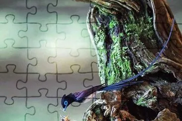 natural jigsaw puzzle