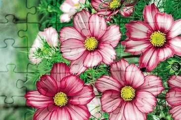 flores jigsaw puzzle