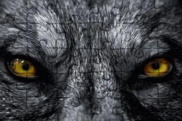 Mirada jigsaw puzzle
