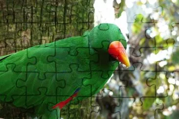 Pappagallo eclettico jigsaw puzzle