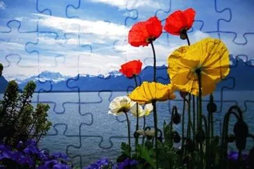 flores