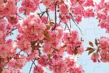 imagem jigsaw puzzle