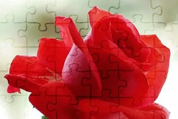 imagem jigsaw puzzle