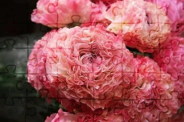 flores jigsaw puzzle