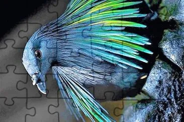 natural jigsaw puzzle