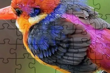natural jigsaw puzzle