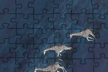 natural jigsaw puzzle