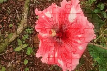 flores jigsaw puzzle