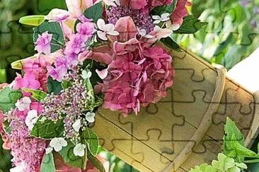 flores