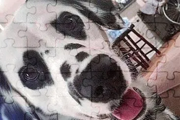 natural jigsaw puzzle