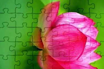 flores jigsaw puzzle