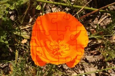 flor 2