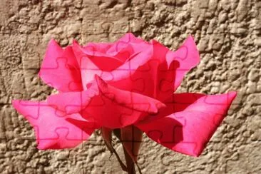 ROSA jigsaw puzzle