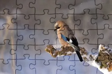 Salzig jigsaw puzzle