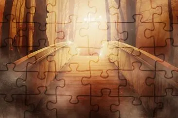 pontia jigsaw puzzle