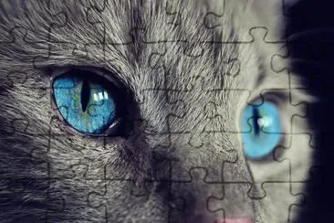 eyes of the cat jigsaw puzzle