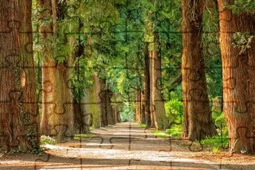 aletas jigsaw puzzle