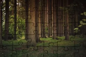 fileiras jigsaw puzzle