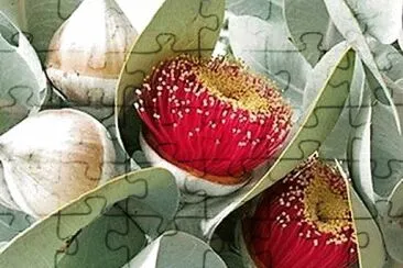 flores jigsaw puzzle