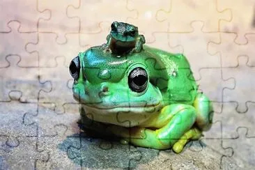 natural jigsaw puzzle