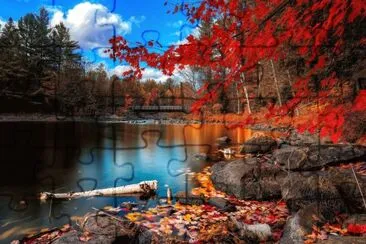 Natural jigsaw puzzle