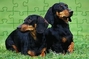 rpicolin jigsaw puzzle