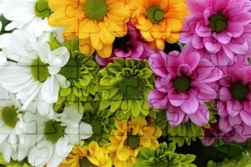 å½©è‰²é®®èŠ± jigsaw puzzle