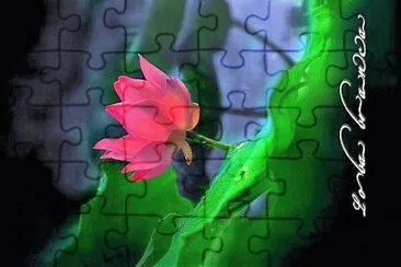 flores jigsaw puzzle